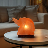 EleLamp